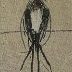 Helidonia
