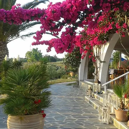 Helidonia 루트라 킬리니스