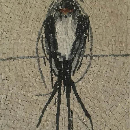 Helidonia