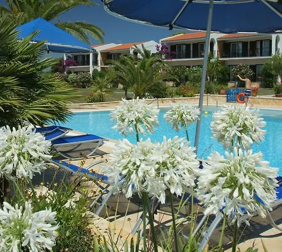 Helidonia * 루트라 킬리니스