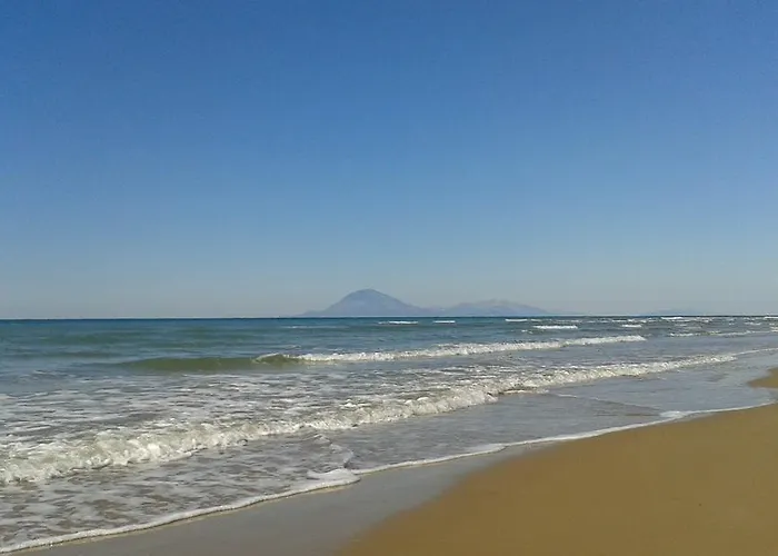 Helidonia לוטרה קיליניס