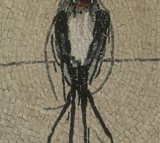 Helidonia