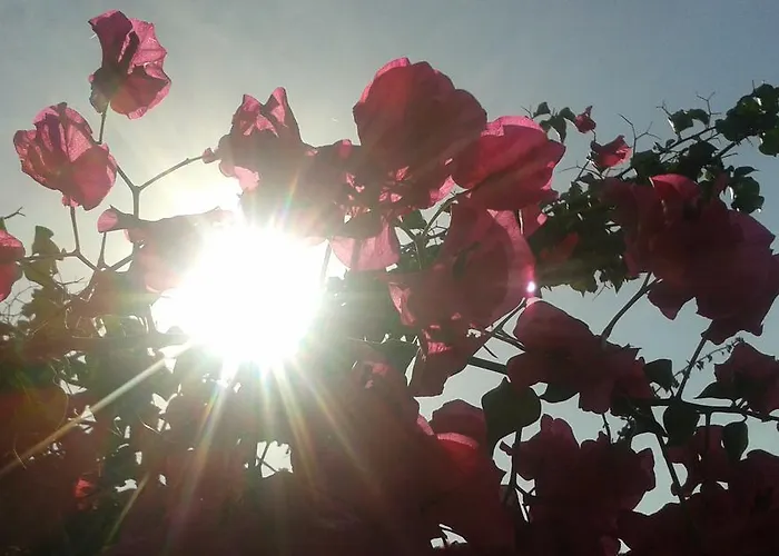 아파트 Helidonia *